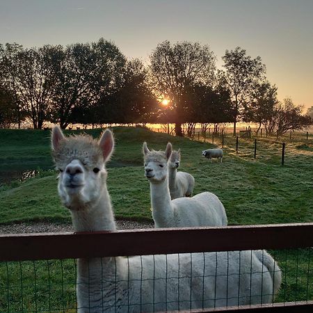 Hof Van Maldegem Kortgene Bagian luar foto