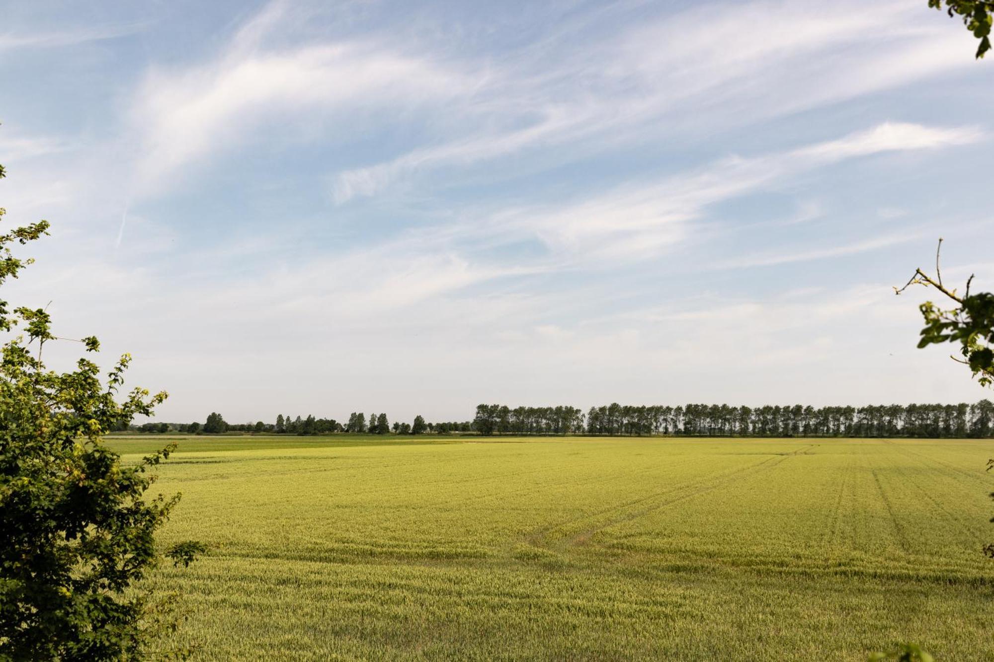 Hof Van Maldegem Kortgene Bagian luar foto