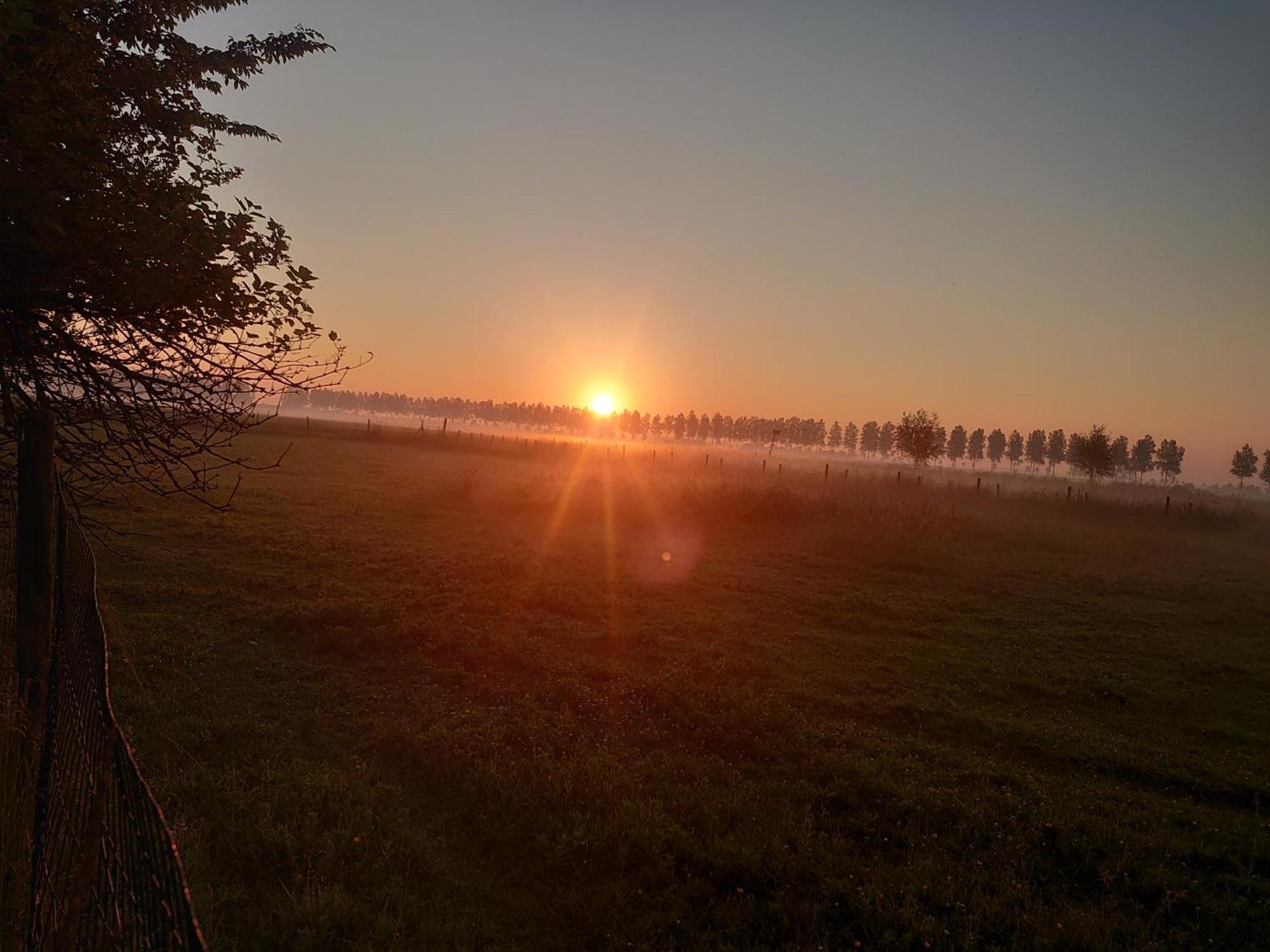Hof Van Maldegem Kortgene Bagian luar foto