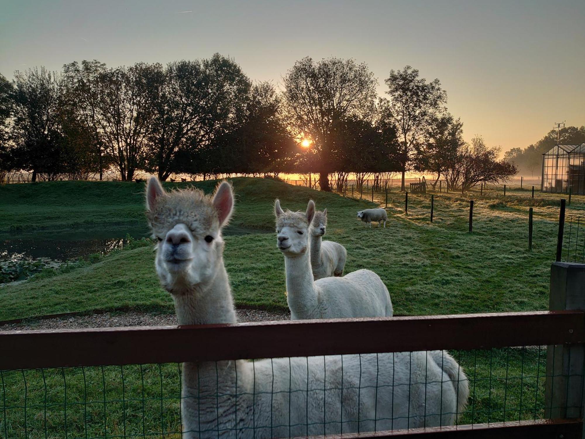 Hof Van Maldegem Kortgene Bagian luar foto